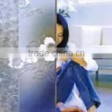 4-19mm Acid Etched Glass/clear Frosted Glass Price