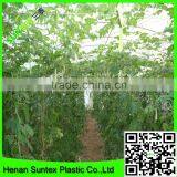 SUPER PLANT SUPPORTS NETTING MADE EASY GROW TENT NET thumbnail-2