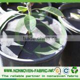 PP Landscape Fabric Weed Control Fabric pp Ground Cover thumbnail-4
