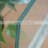 Pvb Film for Laminated Glass With AS/NZS2208:1996,BS6206,EN12150 thumbnail-1