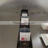 250ml Automatic Carton Filling Machine for Peach Flavor Juice thumbnail-5