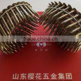 Nail Factory/manufacturer thumbnail-1
