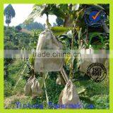 Mango Paper Bag Mango Protective Bag thumbnail-1