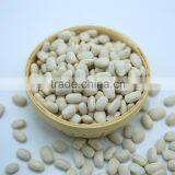 Chinese Medium White Kidney Beans Medium thumbnail-4