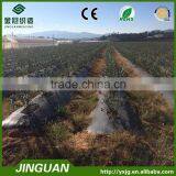 Plastic Mesh Fabric in Blueberry Yard thumbnail-1