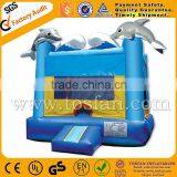 Hot Sale Inflatable Inflatable Jumping Castle on Sale A1134