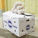 Chinese Fresh White Galic thumbnail-1