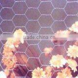 Chicken Wire Animal Breeding