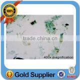 Animal Pathology Prepared Slides/teaching Animal Pathology Slides/medical Animal Pathology Slides