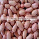 new crop good quality shandong wholesale peanuts