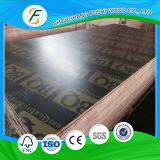 Phenolic Film Faced Plywood thumbnail-4