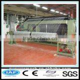 Hepeng Manufacturer Gabion Wire Mesh/Hexagonal Wire Netting thumbnail-6