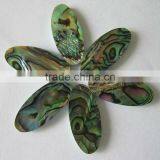 Oval Shaped Abalone Buttons for Instruments