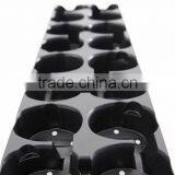 Q16 Seedling Tray thumbnail-2