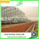 Modern Agricultural Equipments Glass Commercial Greenhouses thumbnail-5