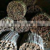 Vietnam Cinnamon Tube High Quality thumbnail-3