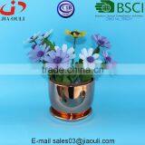 Quality Plating Gold / Copper Ceramic Plant Pots With Saucer thumbnail-6