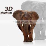 Interesting 3D Elephant Wall Sticker for Kids , Removable Real Elephant Wall Sticker thumbnail-3