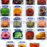 Beautiful Speial Shape Table Mat & Coasters Set,PP, PVC, Factory Direct Supplier