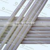 Glue Stick thumbnail-1