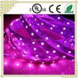 Waterproof 5050SMD DC12V Pink Color Flexible LED Strip thumbnail-1