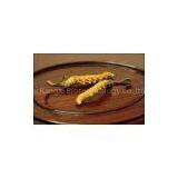 CORDYCEPS SINENSIS POWDER,CORDYCEPS CEPHALOSPORIUM MYCELIA thumbnail-3