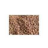 Roasted Buckwheat Kernels