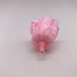 Preserved Real Natural Long Lasting Eternity Roses Head For DIY Forever Flower Box thumbnail-4