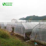 Customized High Quality&Commercial Hoop Greenhouse With Low Price thumbnail-2
