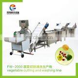 CWA-2000 Commercial Electric Type Fruits and Vegetable Cutter & Washing Production Line thumbnail-3
