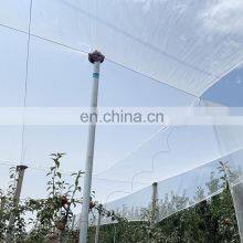 XINHAI HDPE Knitted Net Anti-bird Net Multi-purpose Used In Agriculture thumbnail-2
