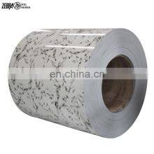 Prepainted Galvanized Coils SGCC Color Coated 0.35*1200mm Steel Coil