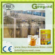 Complete Mango Puree Processing Machines thumbnail-3