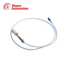 Bently Nevada 330101-20-36-10-02-00