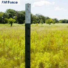 High Quality Studded T Post Y Post Green Color Painted Hot Dipped Galvanized Fence Post for Farm thumbnail-4