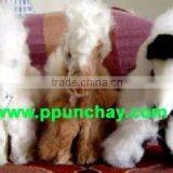 Horse Toy Fur Baby Alpaca Peru thumbnail-1