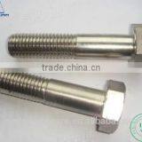 High Tensile Weight Hex Screw Nuts