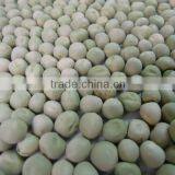 Green Peas Dried US Origin thumbnail-3