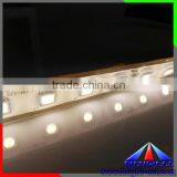 5050 Strip Swimming Pool Led Strip Lighting,High Brightness Led Strips 5050 RGB Underwater Ip68 thumbnail-3