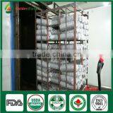 Organic Shiitake Fungus Whole Part Cap Stem Edibal Mushroom Lentinula Edodes thumbnail-5