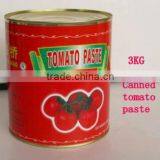Canned Tomato Paste in Cans With Various Specs thumbnail-1
