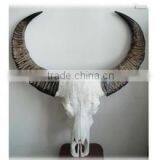 Modern Design Deer Head Buffalo Skull Resin Animal Head Wall Decoration thumbnail-5