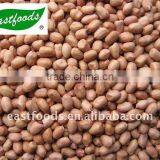 2013Crop Peanut Kernel Round Type 50/60 thumbnail-1