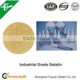 2016 Hot Selling Industrial Gelatin thumbnail-1