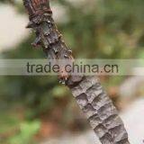 Doshower Hunting Knives Damascus With Gift Packaging of Daily Use Items thumbnail-2