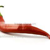 Fresh Red Chilli Supplier thumbnail-1
