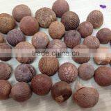 SUPPLIER OF BOILED BETEL NUT Without Wrinkle Seeds FROM VIETNAM thumbnail-1