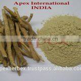 Ashwagandha TBC / Withania Somnifera / Indian Ginseng