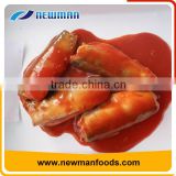 Various specifications tomato sauce flavor canned mackerel for sale