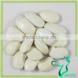 Large Type White Kidney Bean Origin In China 2016 New Crop